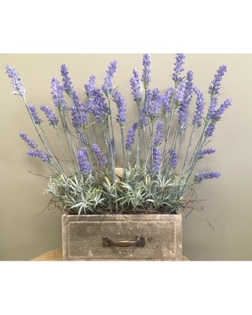 Rustic Lavender